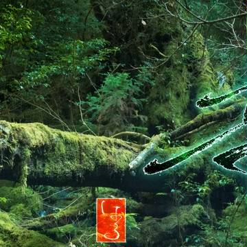 「　龍　」