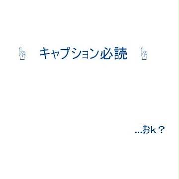 頂き物（表紙・挿絵用）