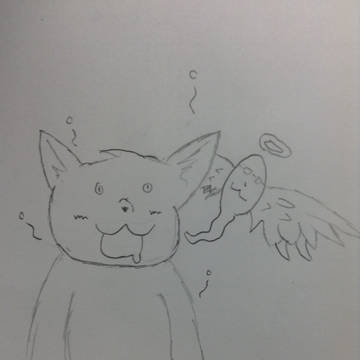 生存報告（？）
