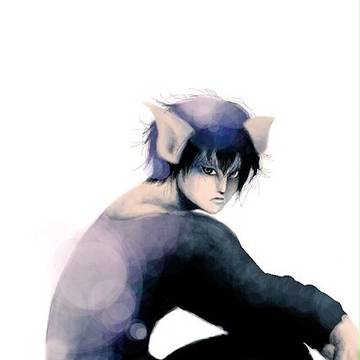 猫