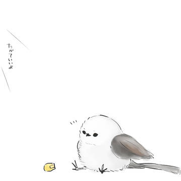 シマエナガ