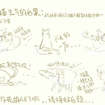 神一样的猫