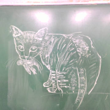 貓