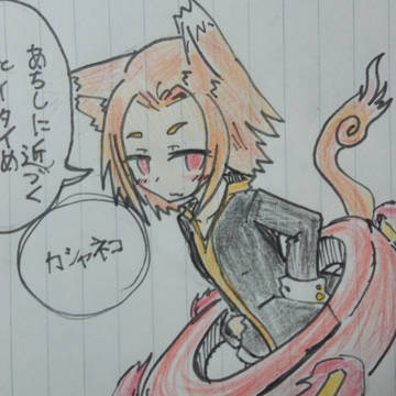 カシャネコの擬人化(カラー)