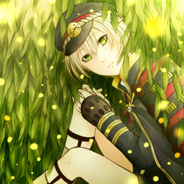 蛍