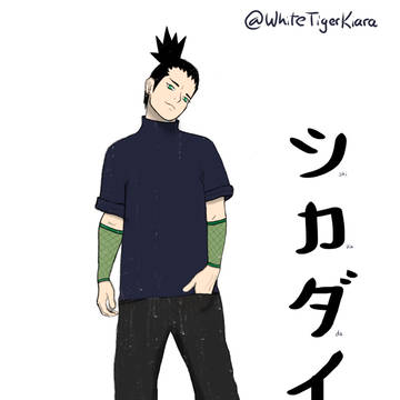 奈良シカダイ