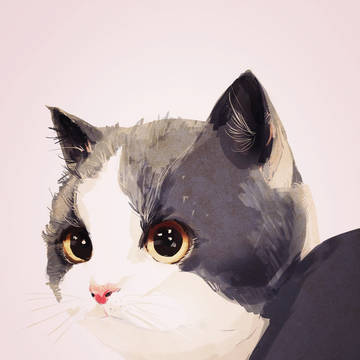ねこ
