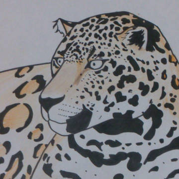ジャガー