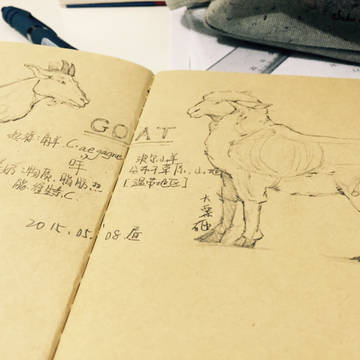 咩