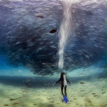 Aquanaut&Fish School
