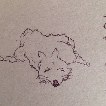 犬…？