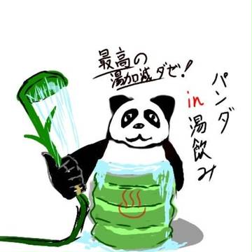 パンダ in 湯呑み