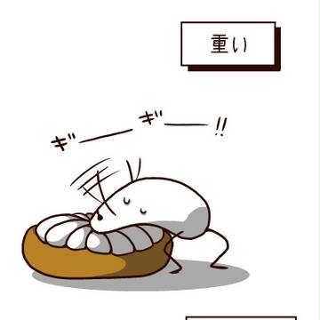 茸村さんカット