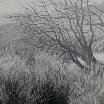 monochrome