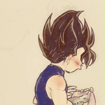 ベジータ詰め