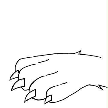 爪
