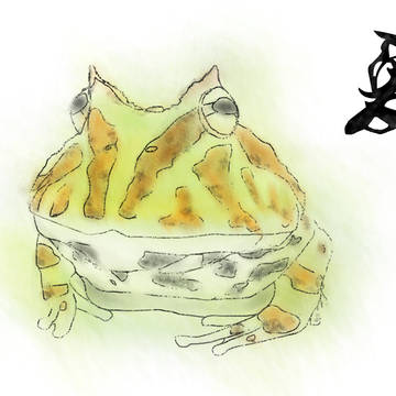 角蛙