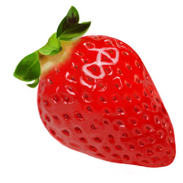 リアルな苺