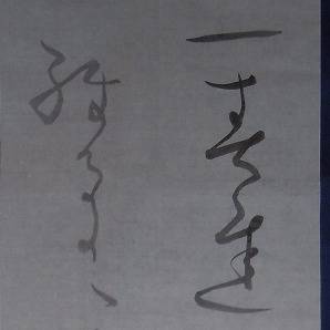 条幅