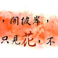 彼岸花