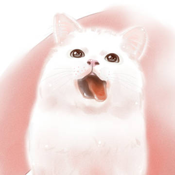 白猫
