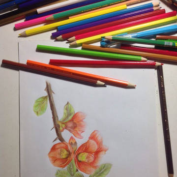 花だ！
