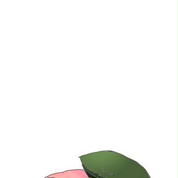 もりーさん