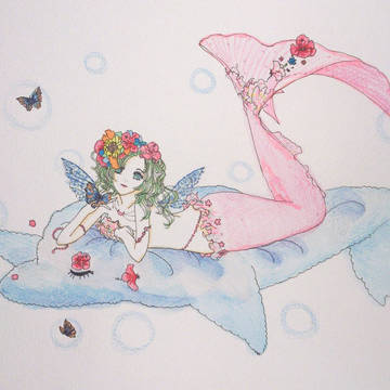 夏魚☆