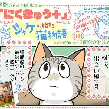 【お知らせ】うちの猫あるある