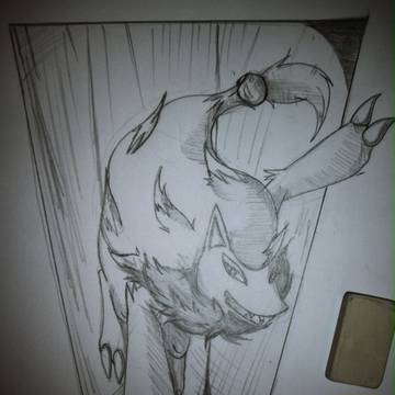 I found a zoroark