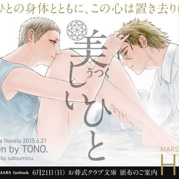 イワエレ小説本「美しいひと」