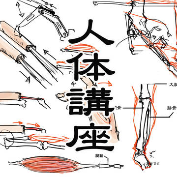 骨、関節、筋肉のしくみについて