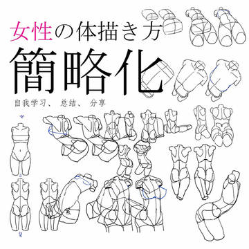 女性の体描き方简略化