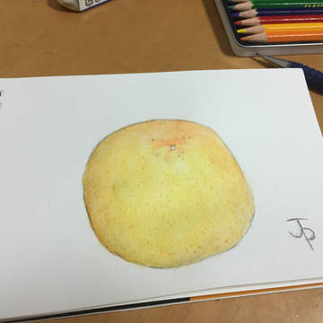 グレープフルーツ？