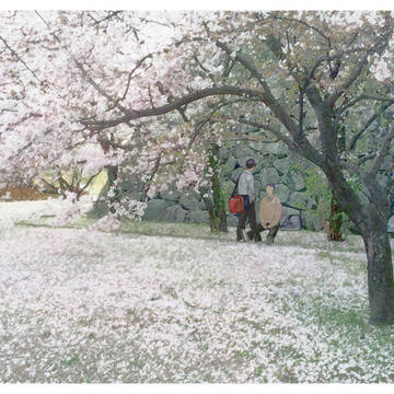 田島と花井