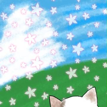 ねこちゃん