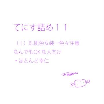 てにす詰め11