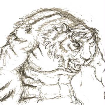 虎へ獣化途中