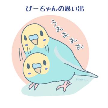 ぴーちゃんの思い出