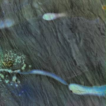 水面