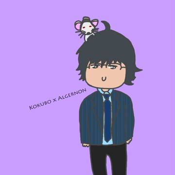 小久保一茂 x アルジャーノン
