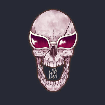 OP - Donquixote Jolly Roger
