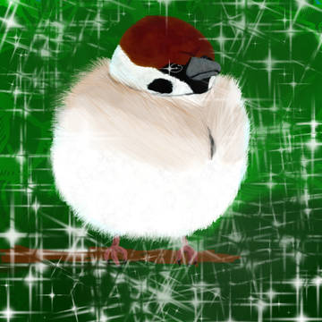 やだ・・・・あの鳥イケメン！！