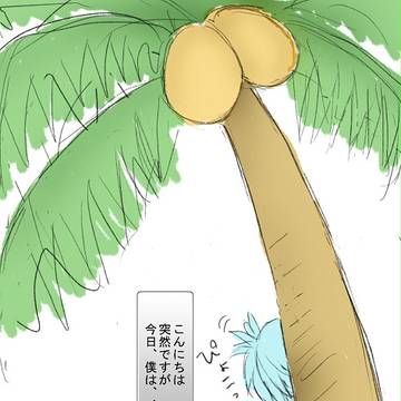まだまだ頭の中は南の島です