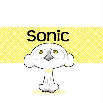 ソニック変幻。