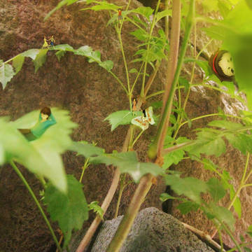 小人族