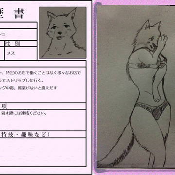 【ケモ夜】ダスト・ラッシュ【履歴書】