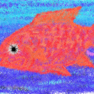 金魚の憂鬱