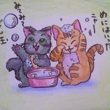 風呂子猫