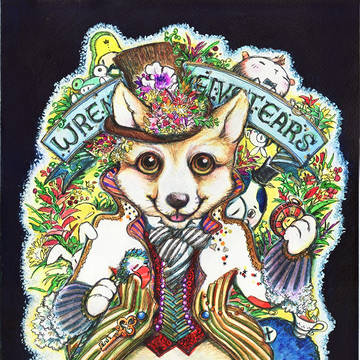 Wren the velvetears Corgi
